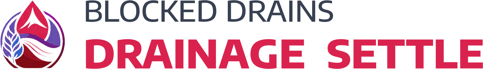 website logo